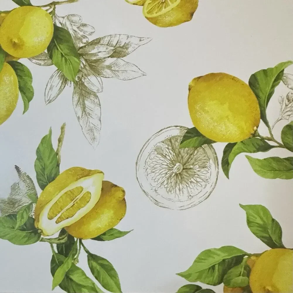 Vintage Lemon Cork Backed Placemats Set of 4 Fruit Citrus Kitchen Decor Summer